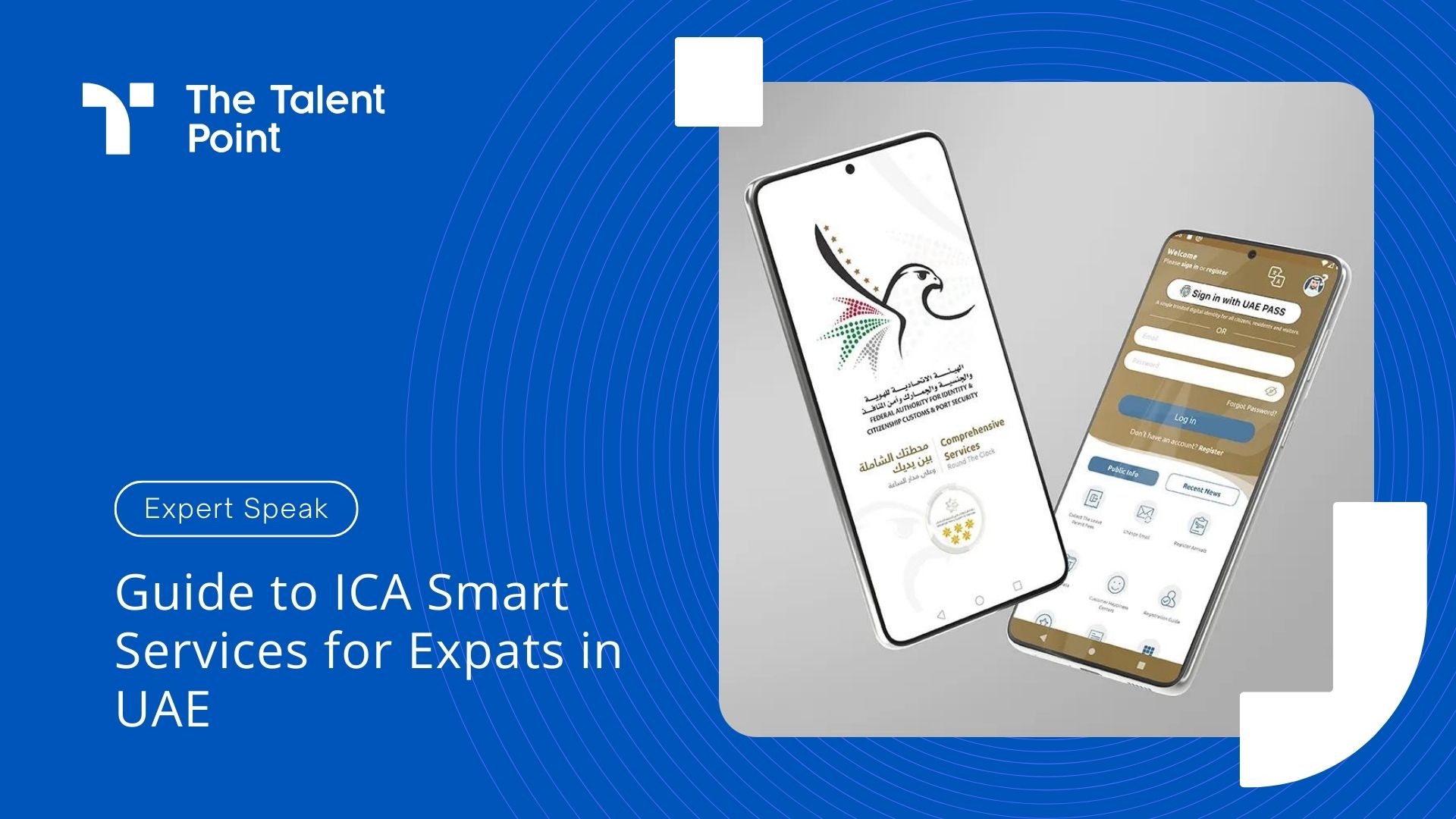 Guide to ICA Smart Services for Expats in UAE