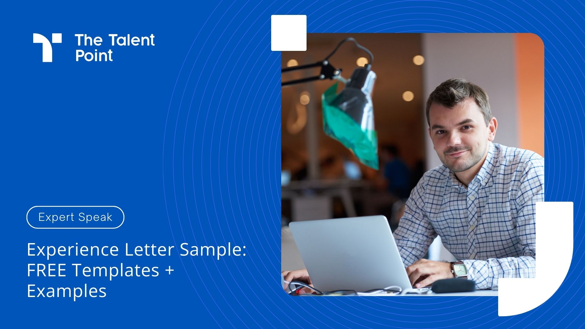 Work Experience Letter Samples  by Employer  - Free Templates to Use - TalentPoint