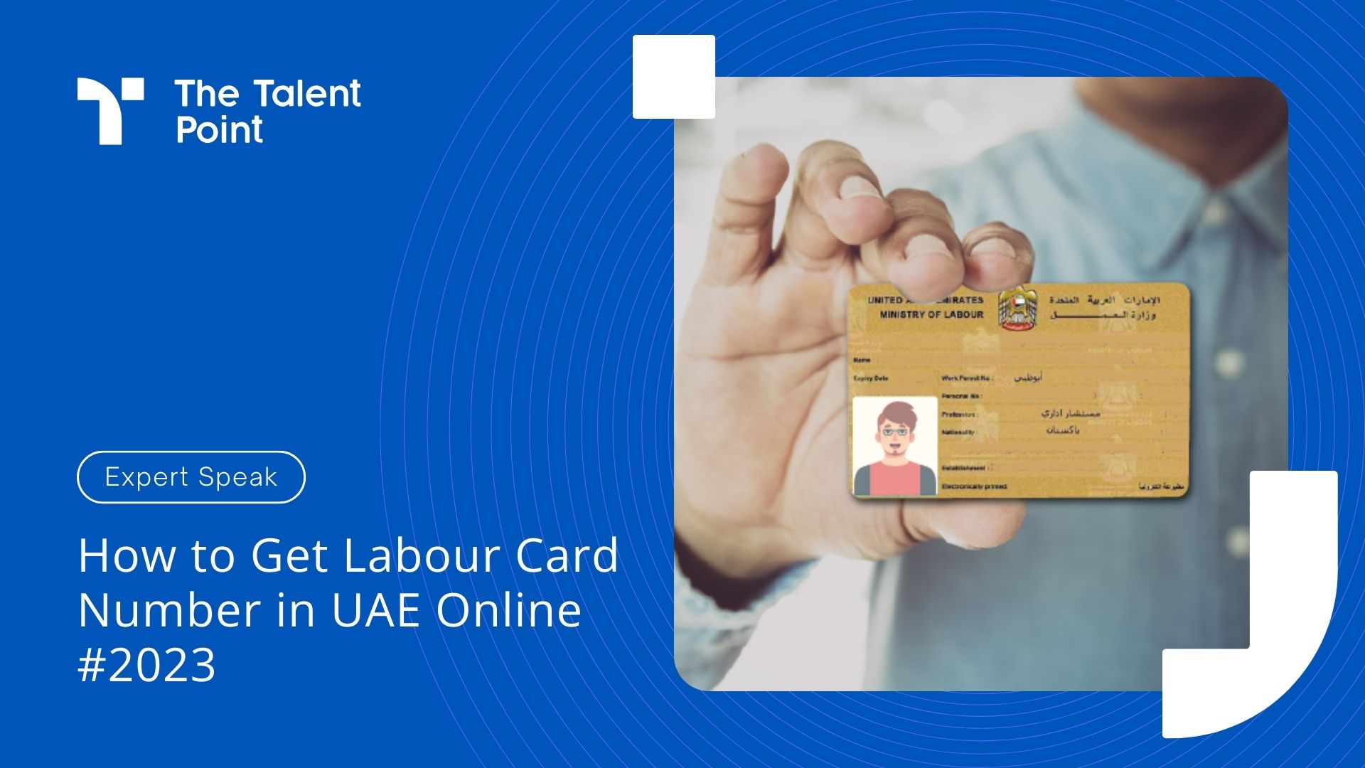 How to Get Labour Card Number in UAE Online #2023