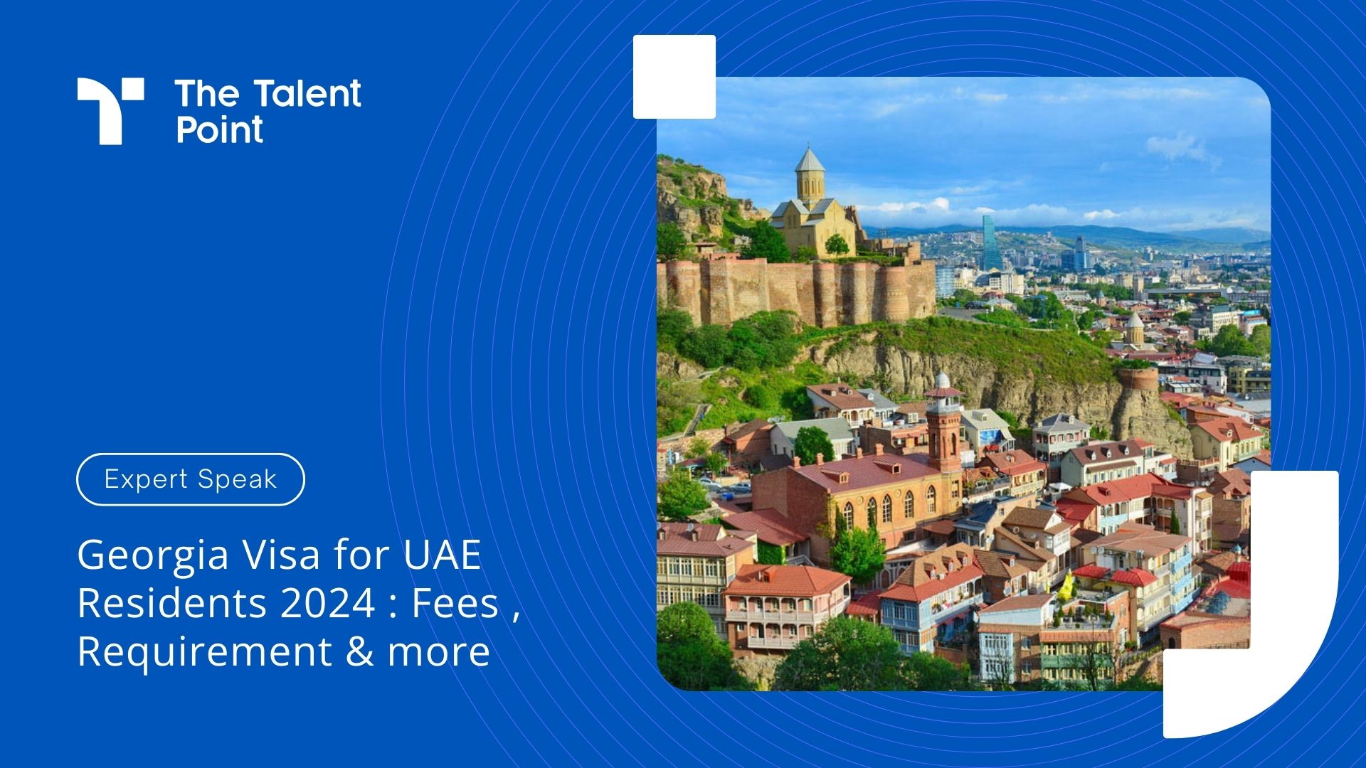 Georgia Visa for UAE Residents 2024 : Fees , Requirement & more